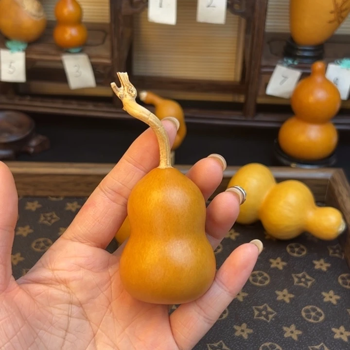 @****?葫芦葫芦葫芦葫芦