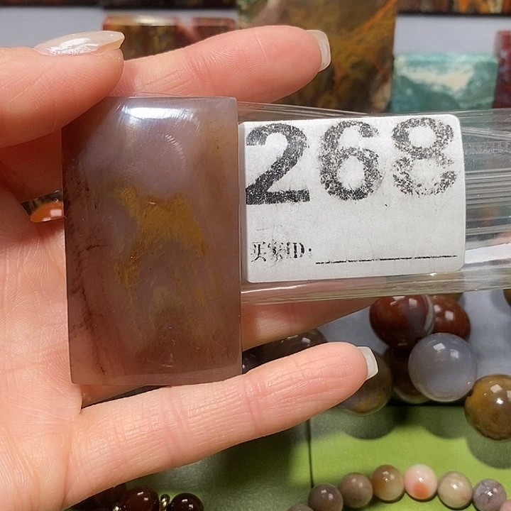 硅化玉未镶嵌天然北票树化玉吊坠