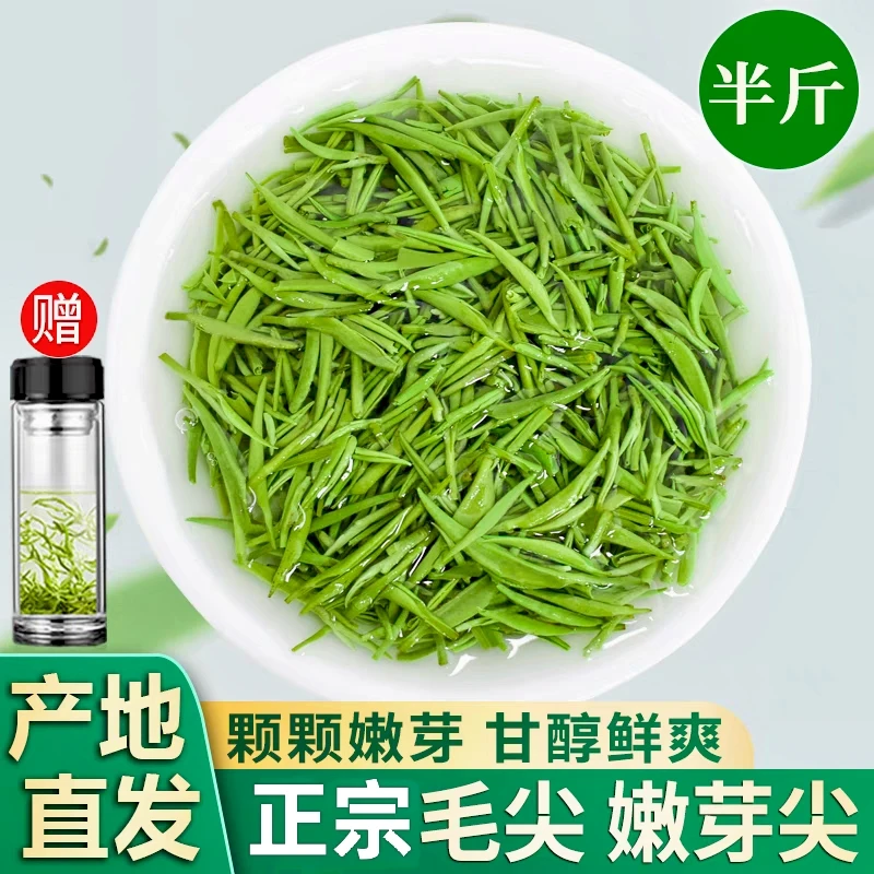 信阳新茶嫩芽特级全芽毛尖绿茶浓香型手工春茶罐装2025