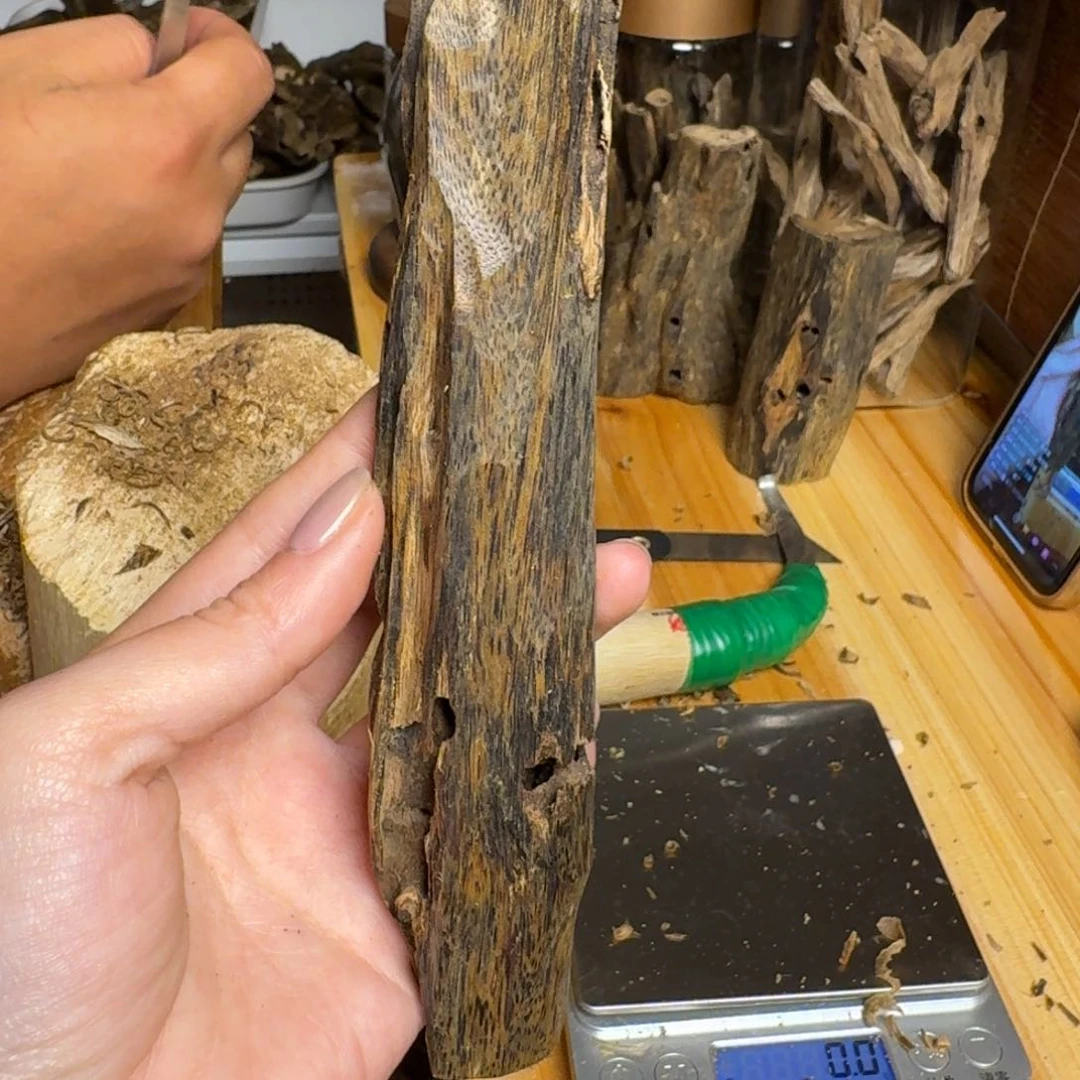 沉香白奇陆河虫漏原料40克