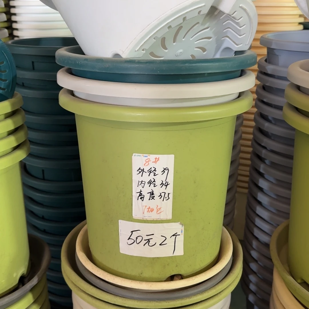 四季8#口径49无拖果绿5个