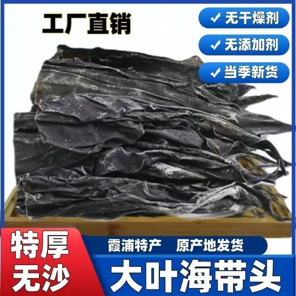 精品海带干货海带头霞浦原产地海带头干货味道鲜美1斤泡发8-10斤