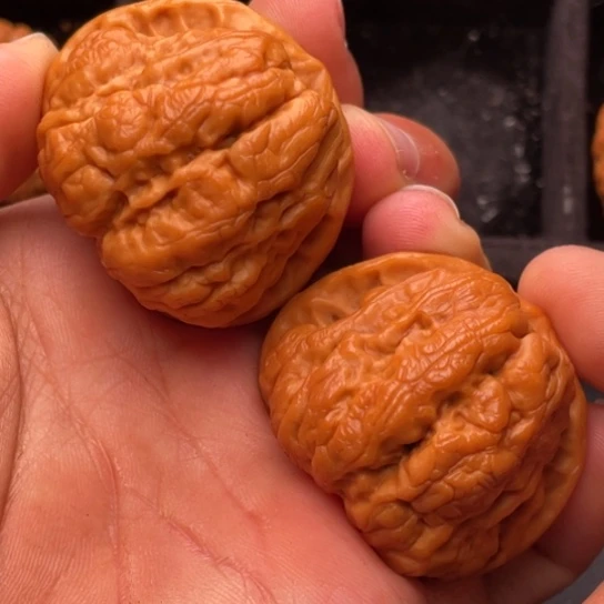 文玩核桃把件11111111111111