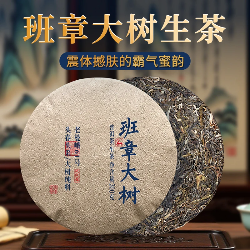 2025班章易武高杆纯料头采春茶普洱生茶老班章高级茶叶特色茶叶
