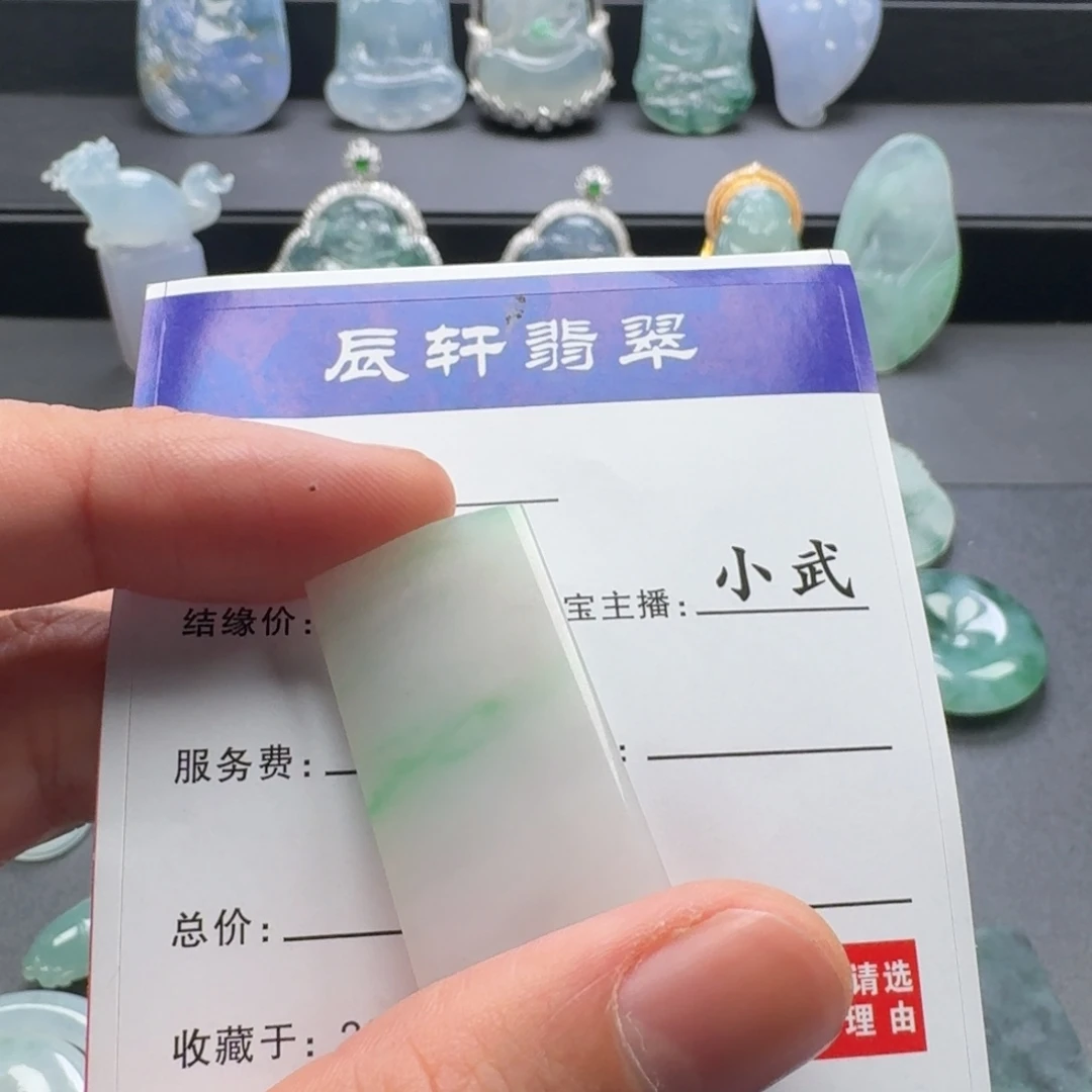 翡翠未镶嵌颈饰     12
