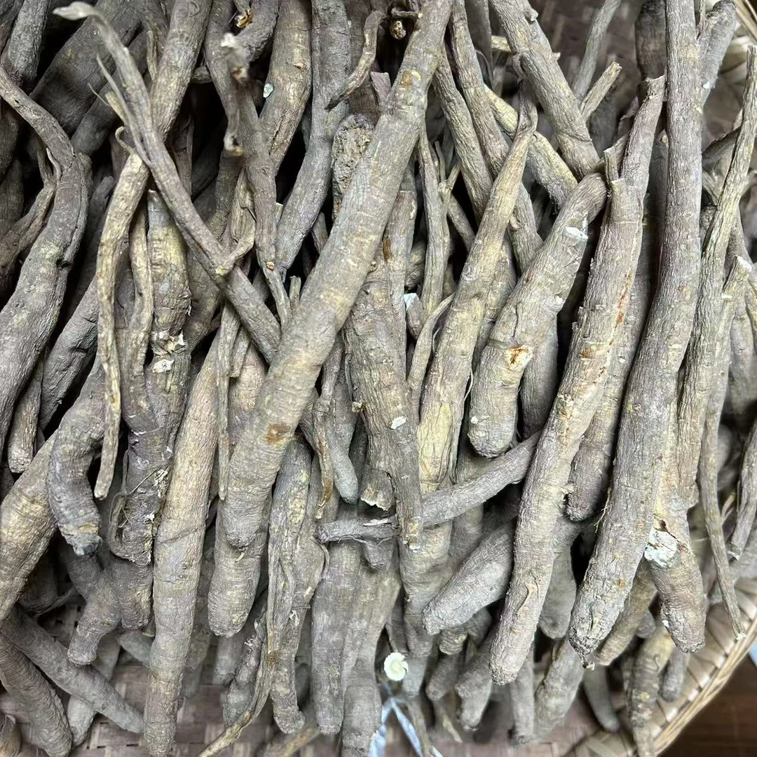 【夏支书推荐】土当归