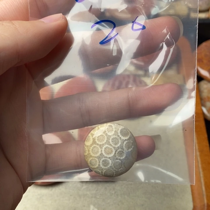 硅化玉颈饰未镶嵌