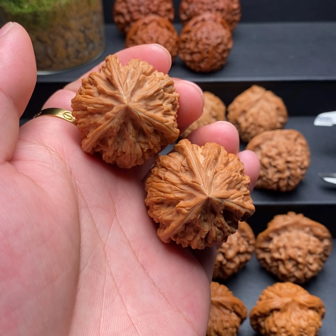 吊坠文玩核桃40御龙粗筋货头