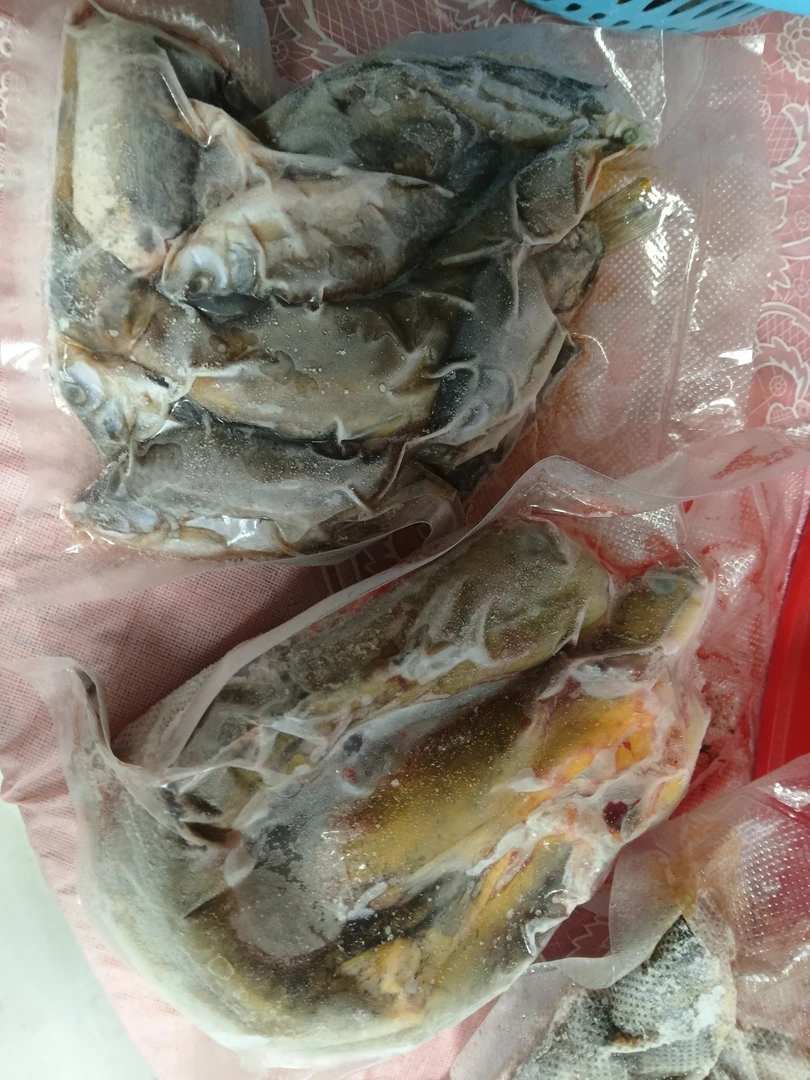 真空包装包邮农家野生小鱼（小鳑鲏等）
