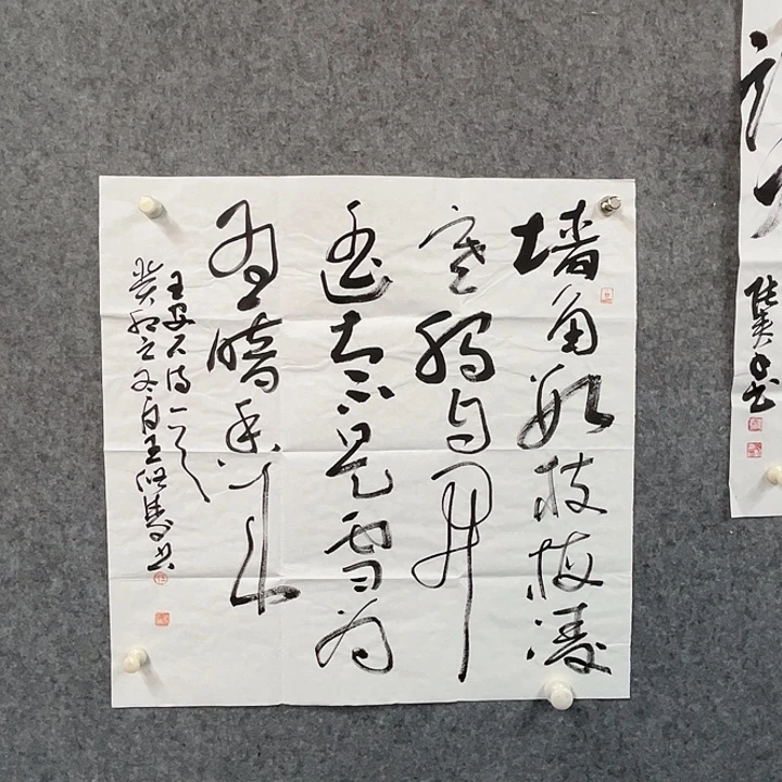 书法张秦书法作品软片