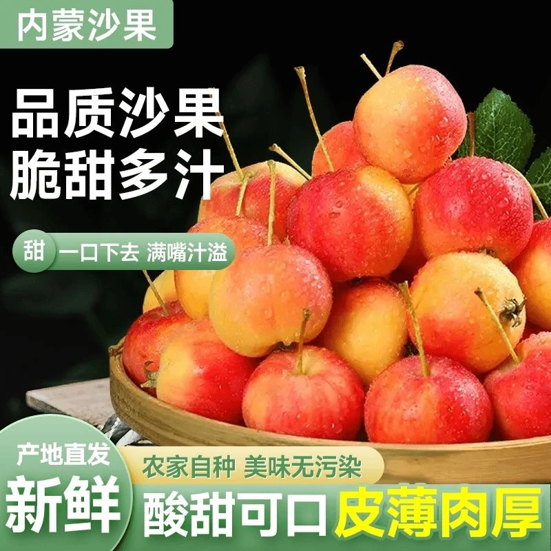 内蒙沙果黄太平海棠果新鲜采摘脆甜多汁口感好现摘现发