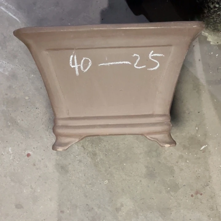 周深周深周深周深周深