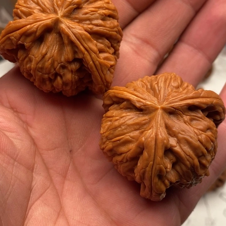 我想知道什么叫作可以