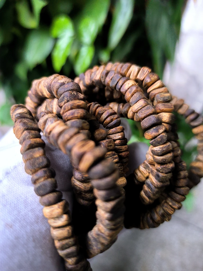 沉香种植棋楠 金沙叶 7-8G 多样发一