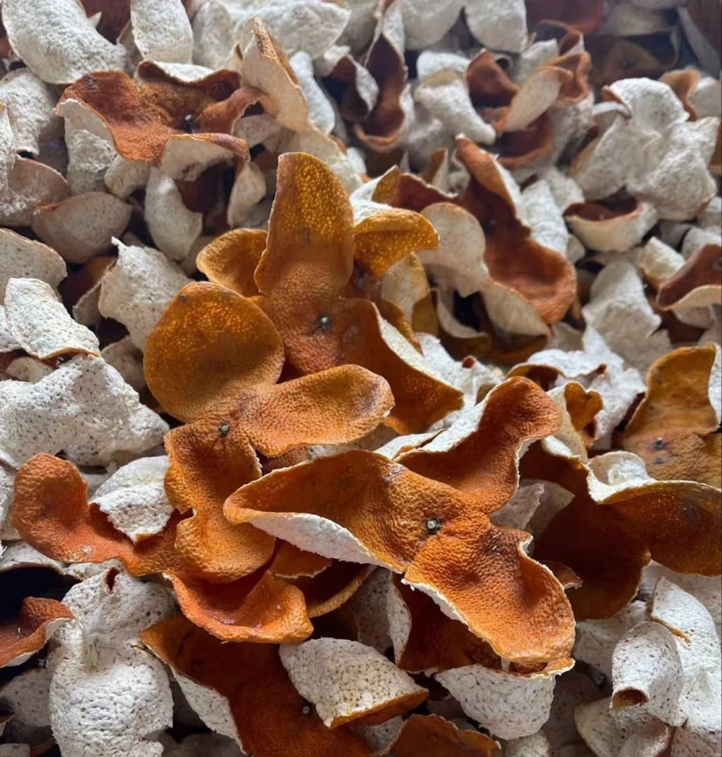 【2024天马原枝冬后大红皮】新会天马原枝13年老树基本整皮少量断皮