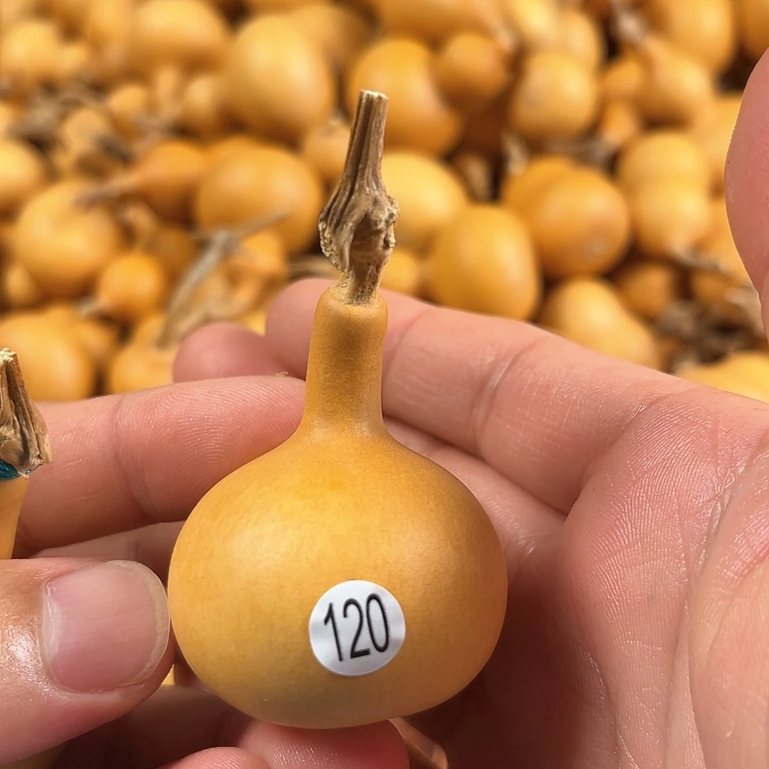 二葫芦葫芦葫芦120