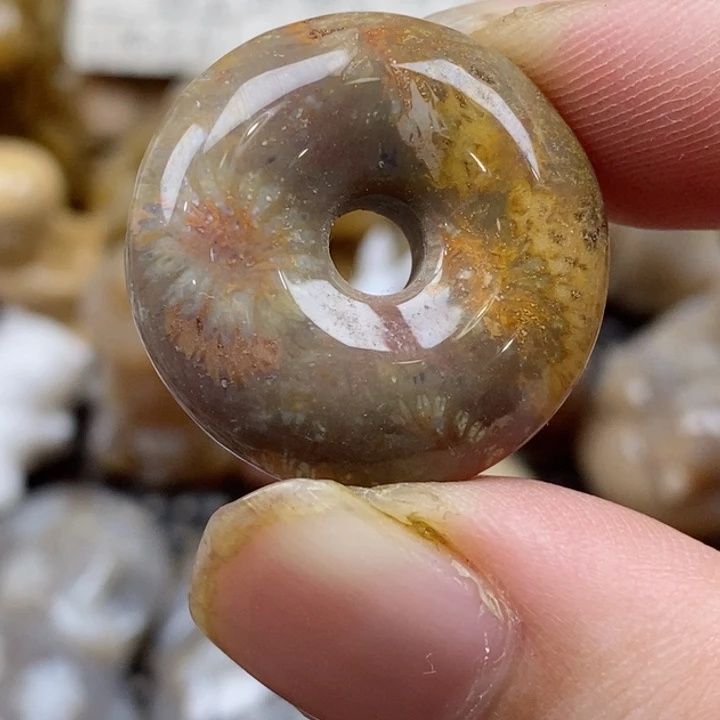 颈饰未镶嵌硅化珊瑚（珊瑚玉）小