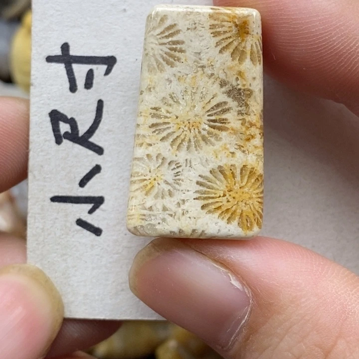 硅化珊瑚（珊瑚玉）未镶嵌颈饰