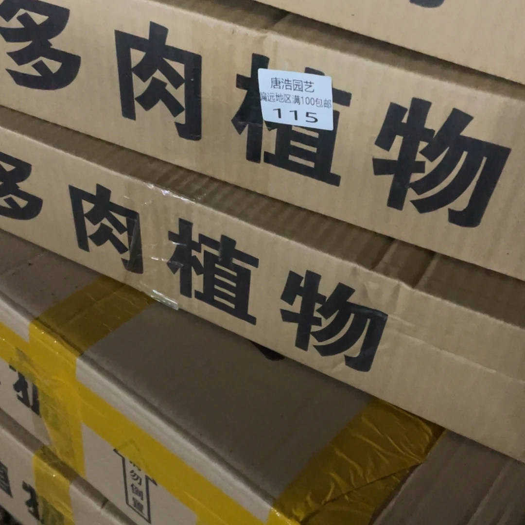 胖**瓜氓盒一物一拍115