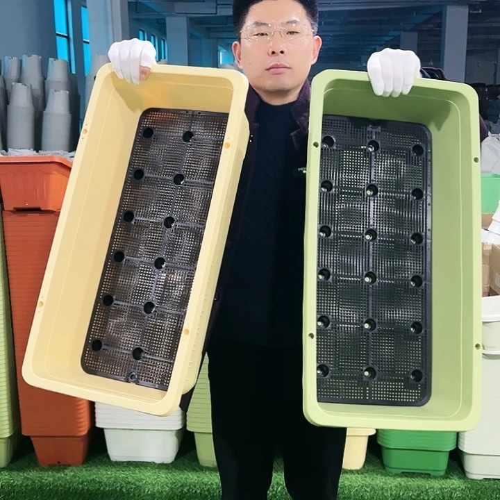 特价大菜盆长67宽34高18果绿2套