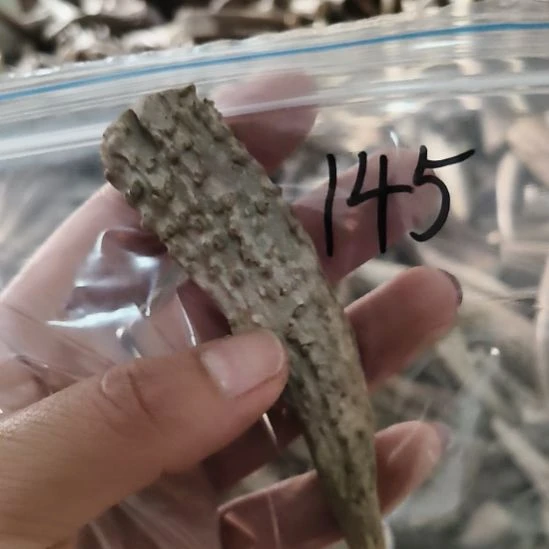 文***刀鹿角鹿角鹿角鹿角鹿角鹿角