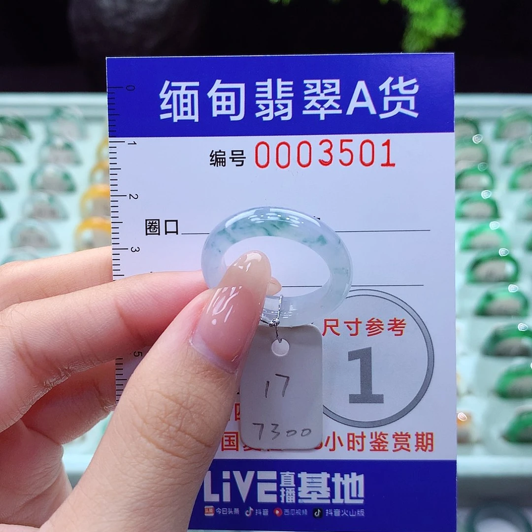 翡翠戒指未镶嵌17号