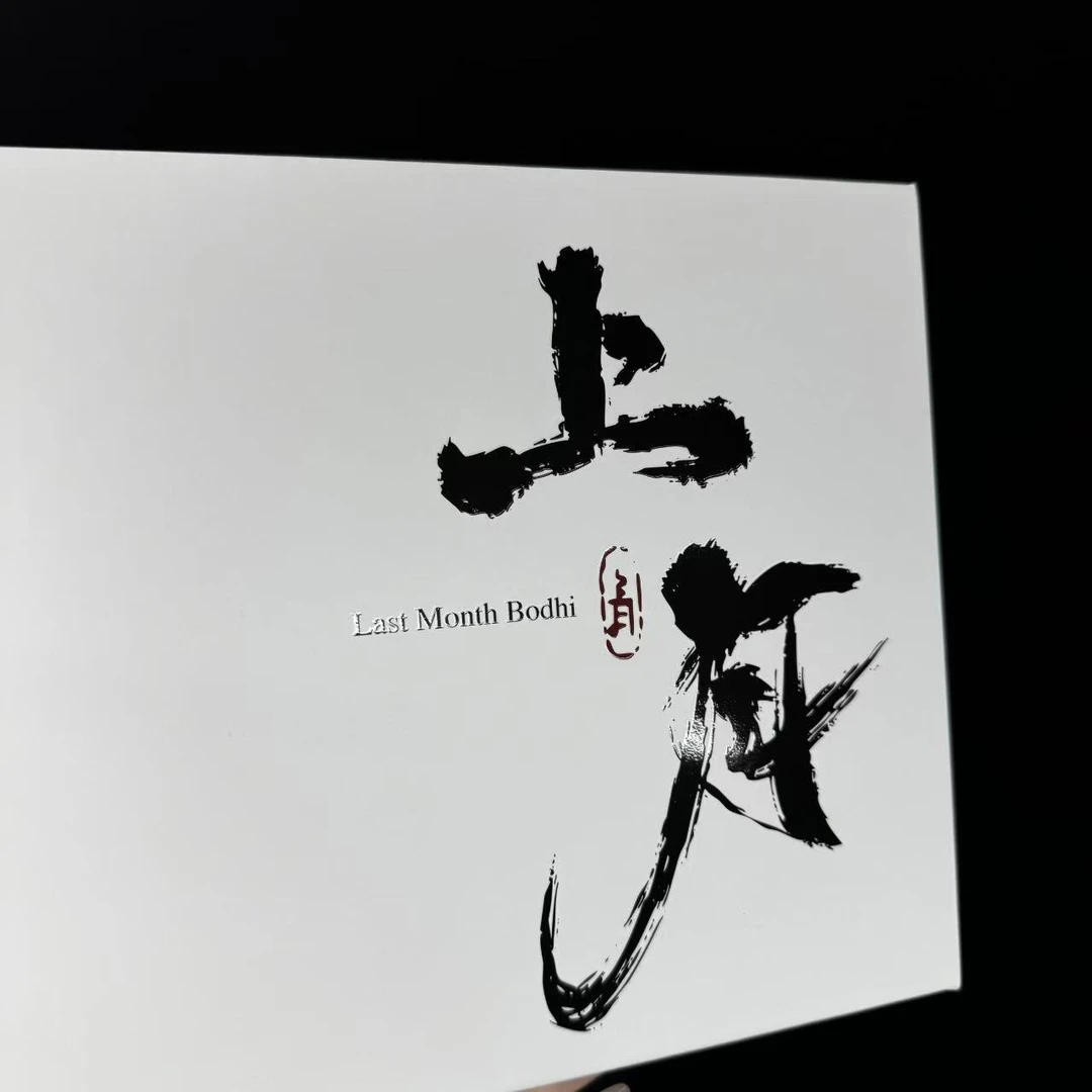 海南星月菩提手串