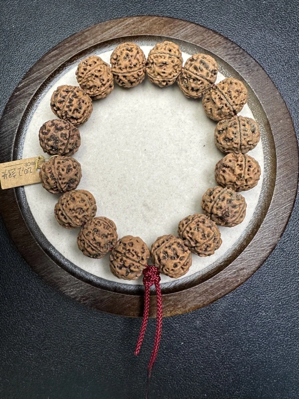 老原生态金刚梁籽20尺寸超头规整度特别牛