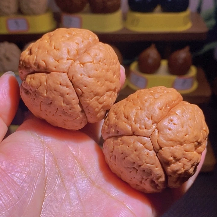 野生三瓣脑纹大金刚5055