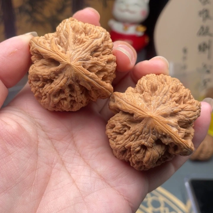 核桃43➕平谷大粗筋微修