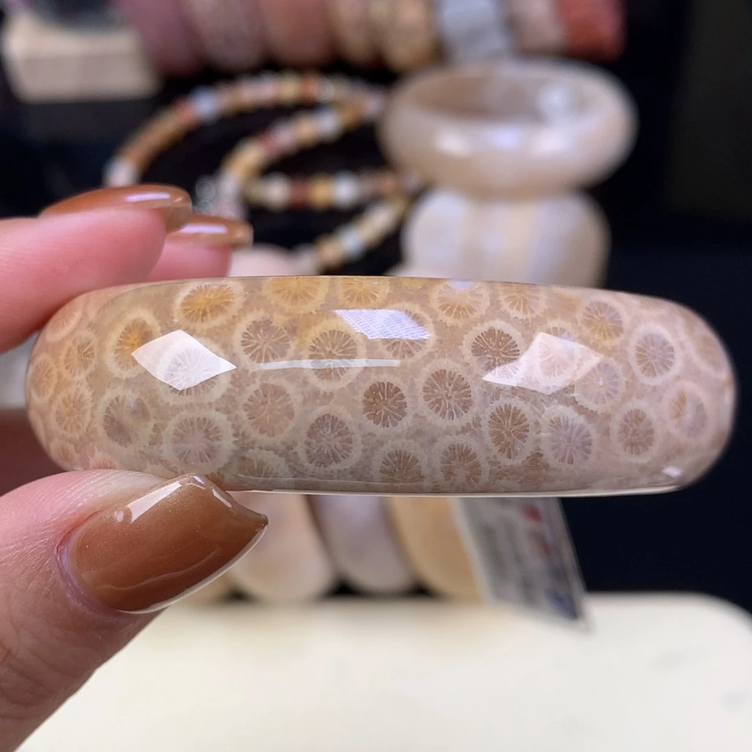 【闪购商品】颈饰未镶嵌硅化珊瑚（珊瑚玉）上新手镯53.8（19号）
