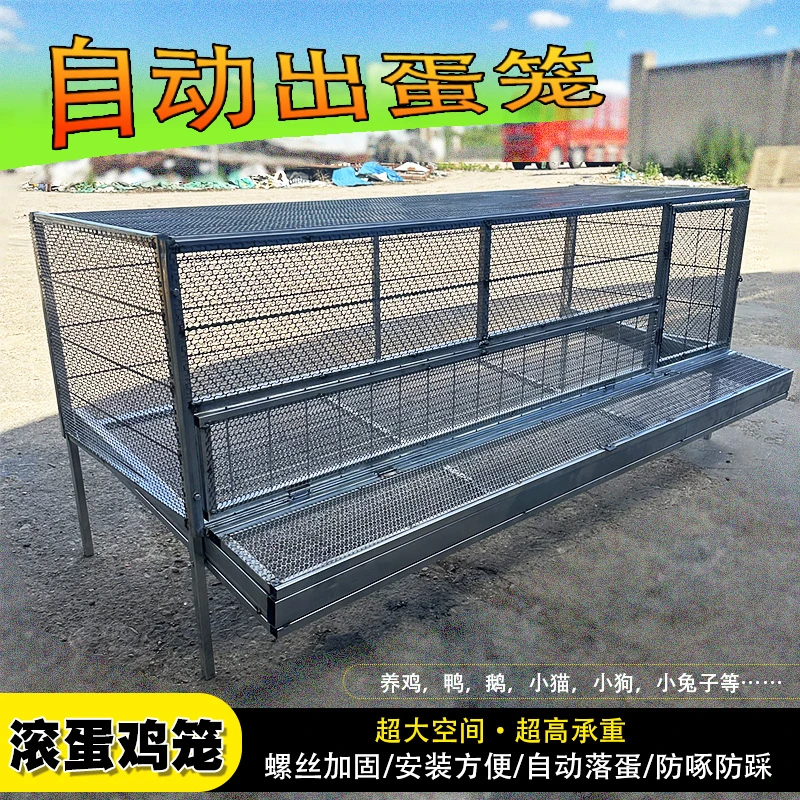户外自动滚蛋下蛋母鸡笼防啄蛋防黄鼠狼老鼠蛇耐用鸡笼