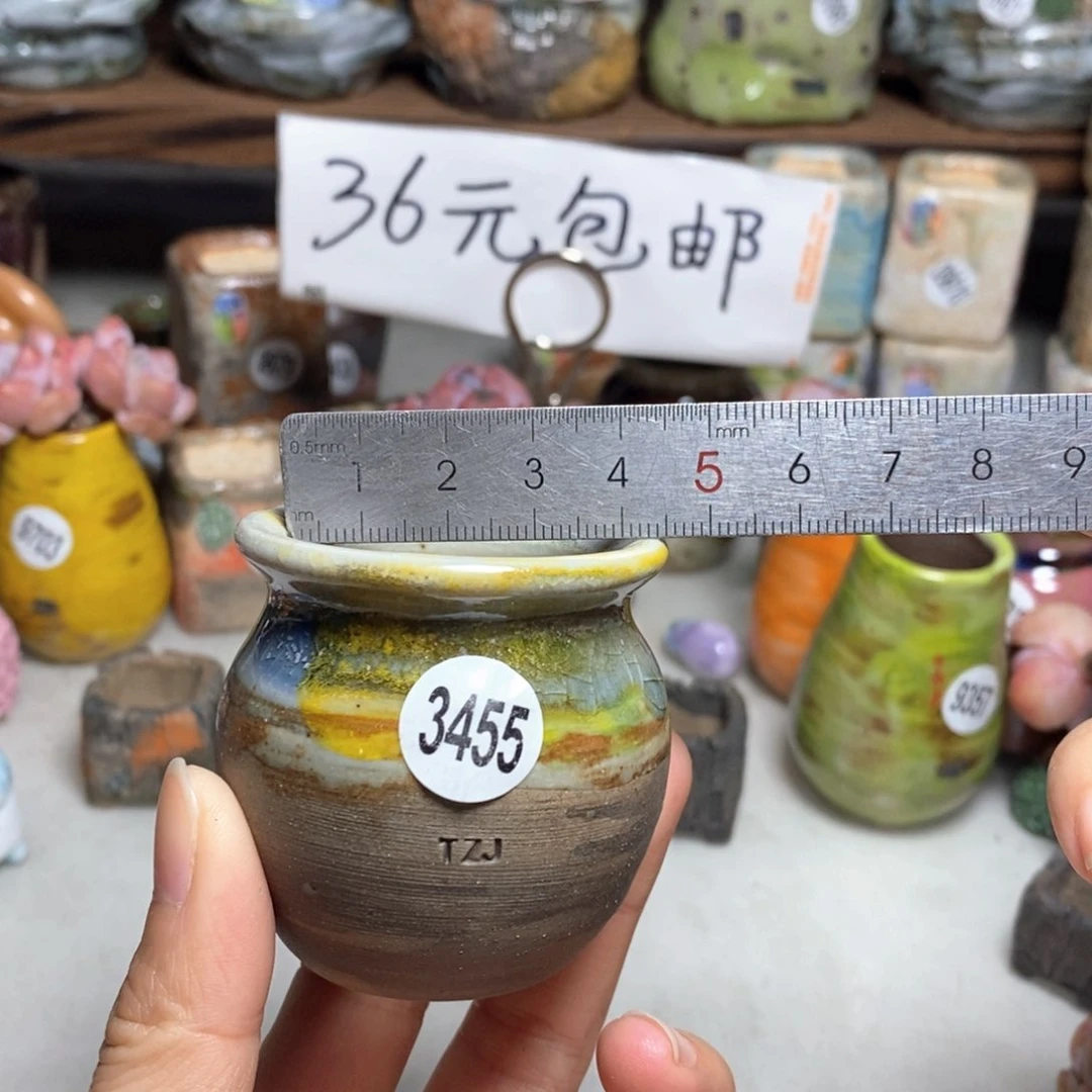 拍5送一个小礼物