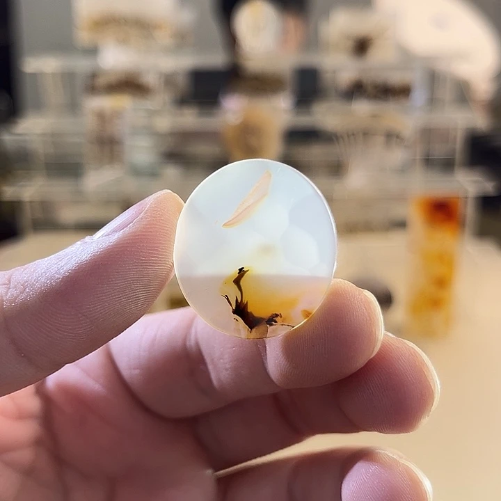 未镶嵌吊坠(不含链)玛瑙/玉髓