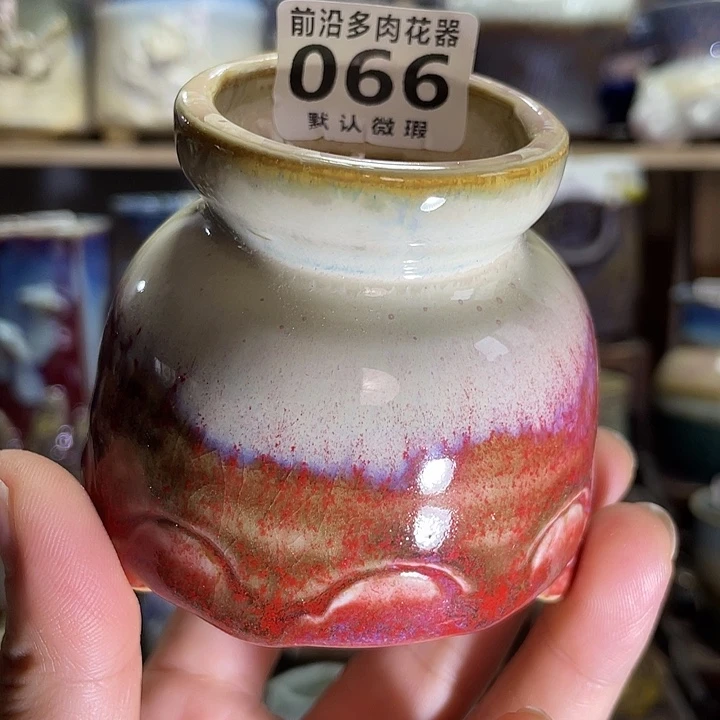 狼盆内口径5高度6