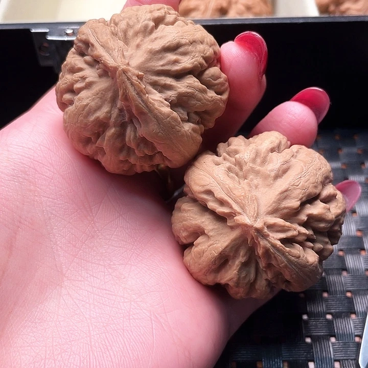 用***洪霸王龙核桃尺寸41