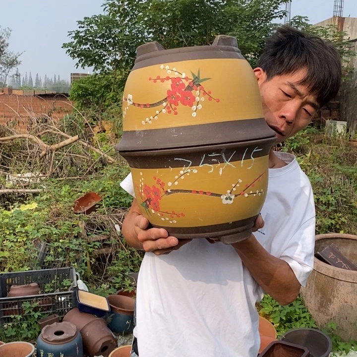 花盆紫砂没有什么不可以改变自己命运