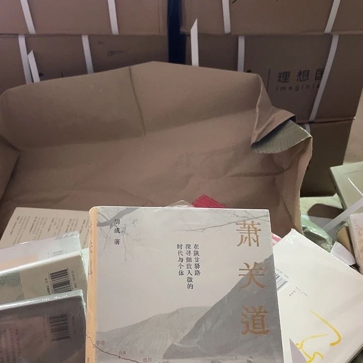 萧关道微瑕微瑕微瑕