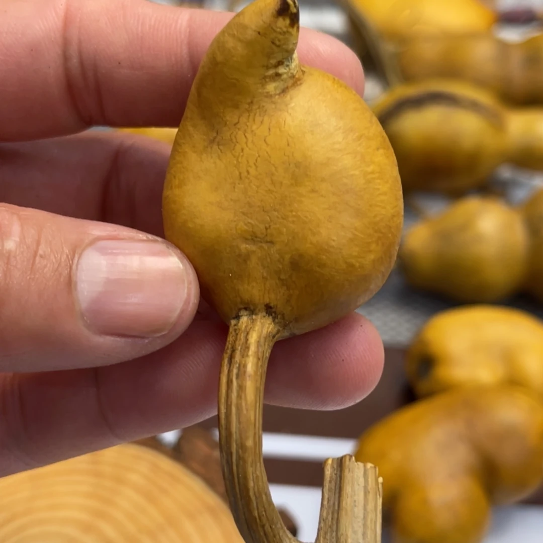 冰***葫芦哈哈哈哈哈哈哈哈