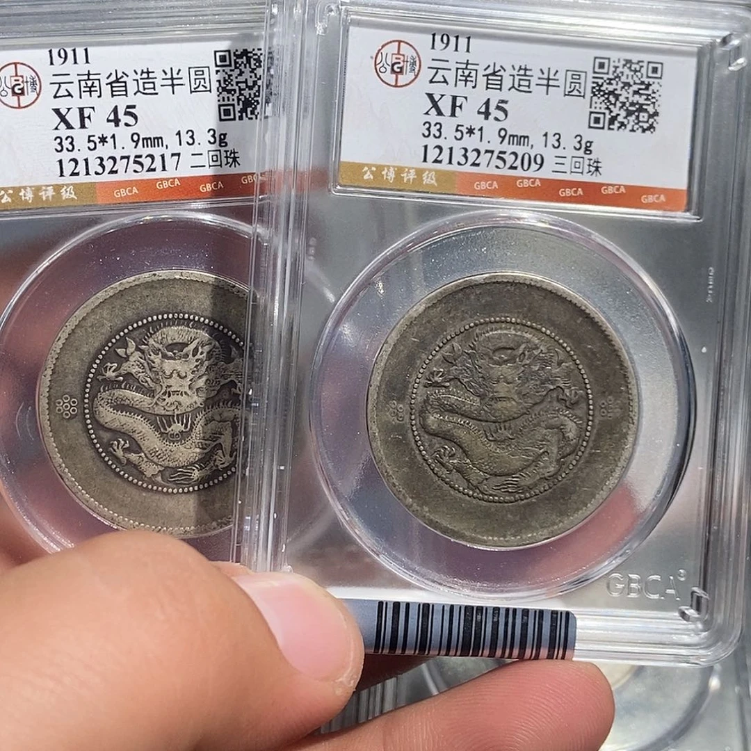 银小董云南半圆龙两枚209 217