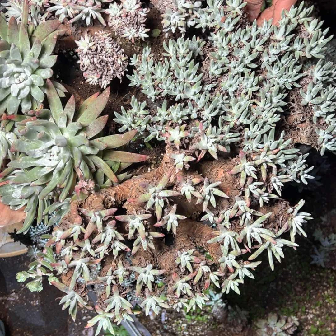 5474哈哈哈哈哈哈哈