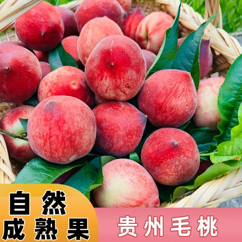 贵州特产新鲜水蜜桃脆甜毛桃血桃水果雪桃子桃毛桃水蜜鲜果孕妇