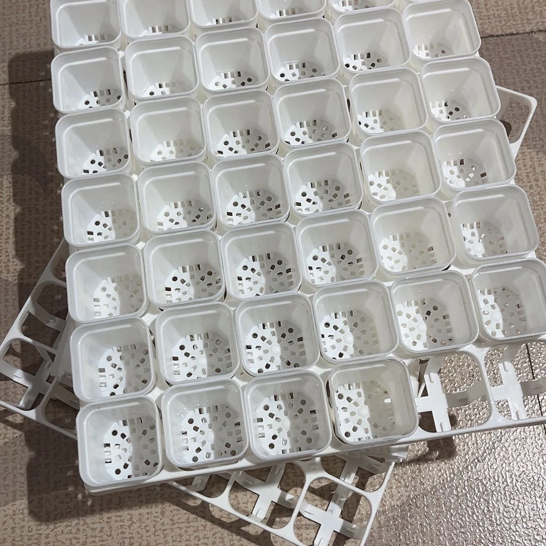 中厚口4高4白盆240个盆带5个拖架