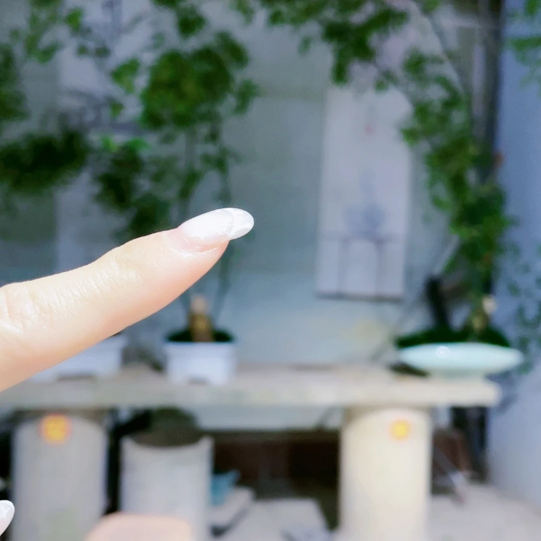 C****特小叶簕竹熟桩陶瓷盆一物一拍