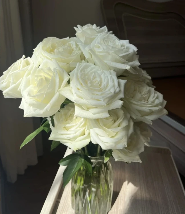 【杨苏莹花房】方德雪见玫瑰10枝 云南鲜花任意花材两单顺丰空运