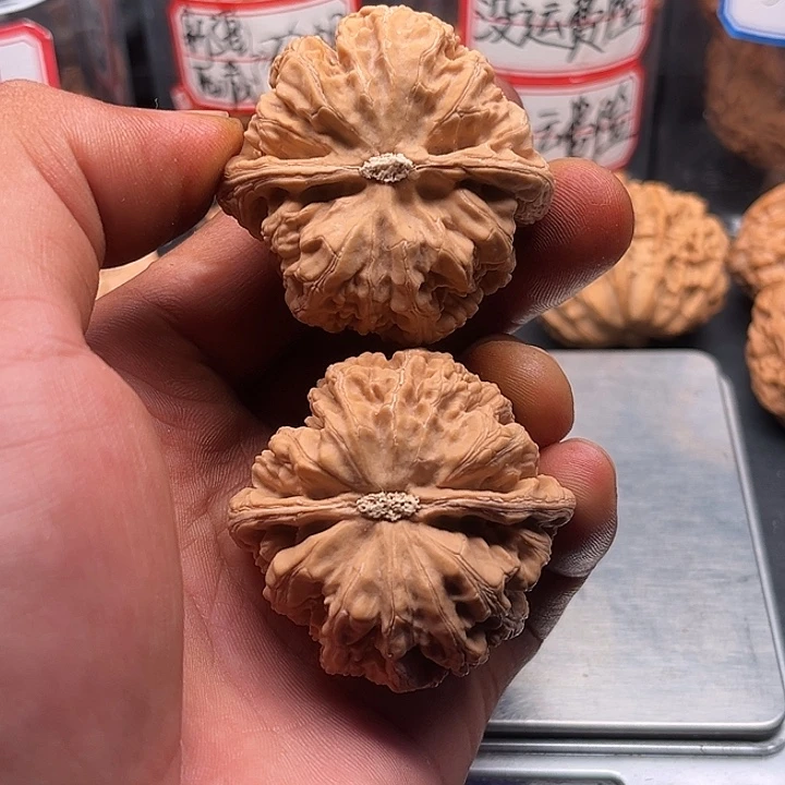 逆***行文玩核桃把件粗筋47