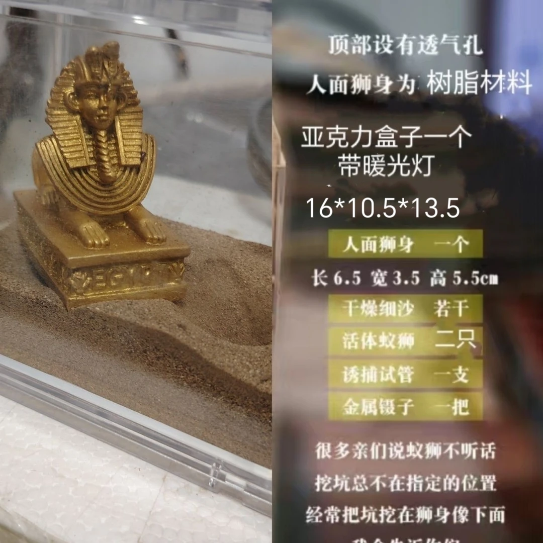 蚁狮养殖箱套餐地牯牛养殖箱套餐金沙牛养殖箱套餐