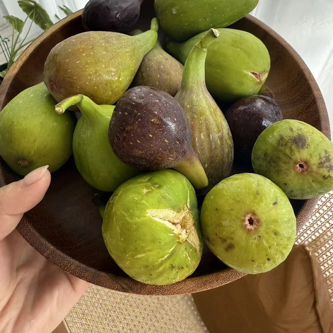 云南无花果格莱斯 巴劳奈拼斯特拉软糯蜜甜 2斤左右顺丰快递
