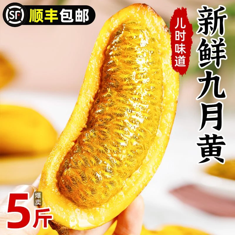 野生新鲜九月黄5斤应季水果拿麻藤包牛卵坨八月瓜木通果顺丰包邮3