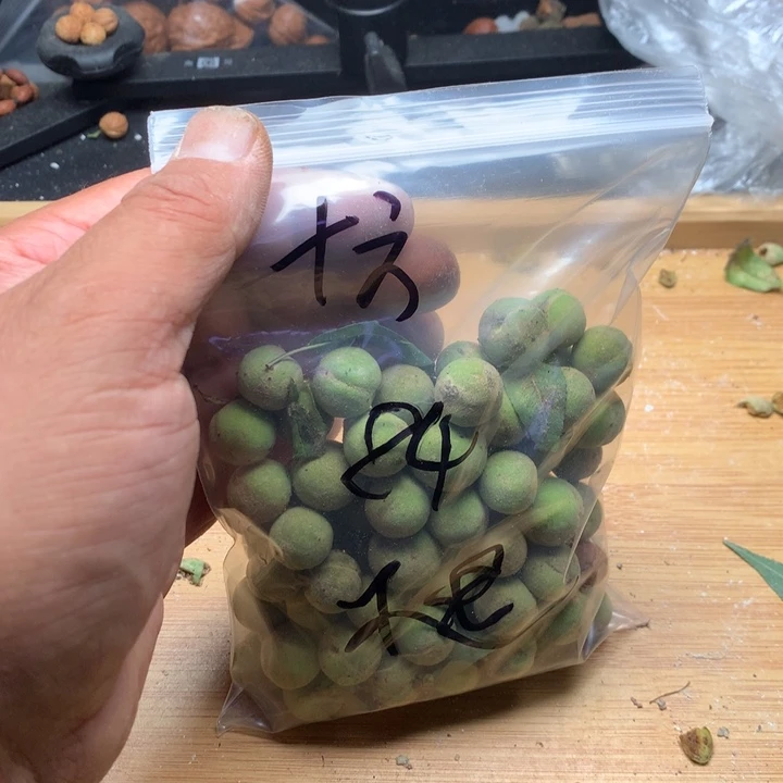 十***∫文玩核桃吊坠野生精品小核桃散籽